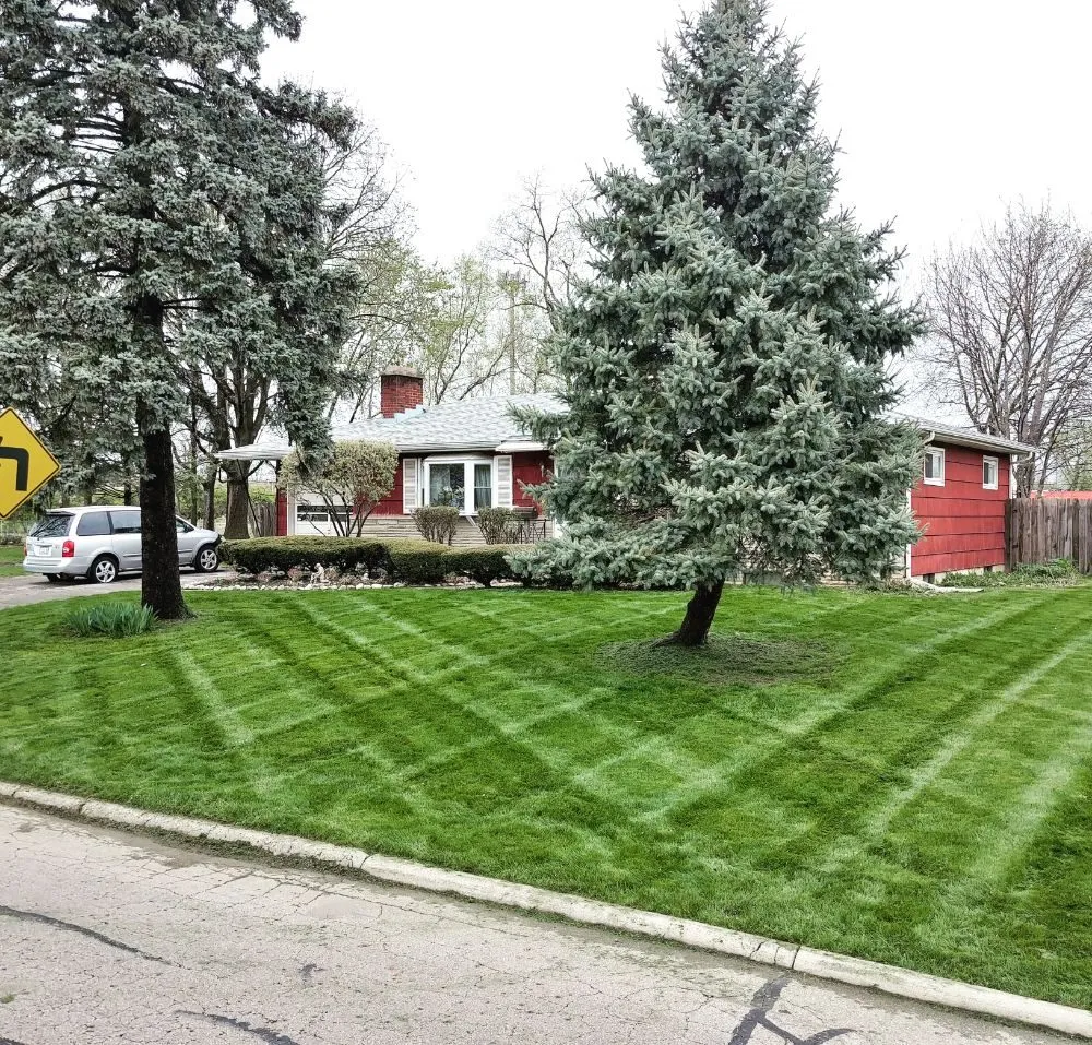 Affordable yard maintenance with custom design in Columbus, OH by Miguel’s Lawn Service