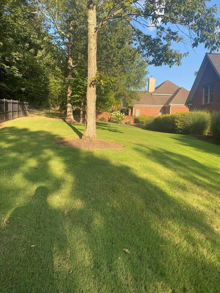 Trusted yard cleanup service with custom design across Fort Payne, AL - Miguel’s Lawn Service