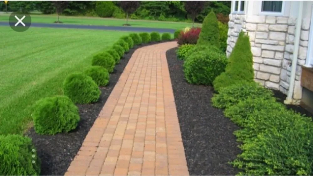 Expert residential landscaping in Santa Ana, CA by Miguels Maintenace & Landscape Service