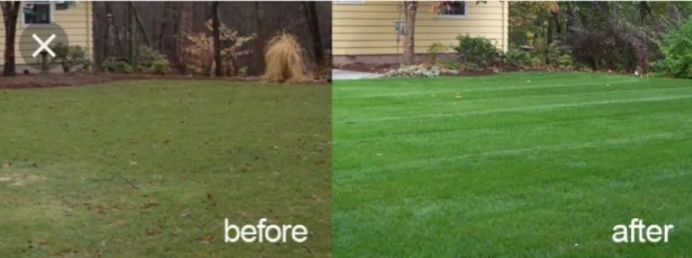 Expert garden landscaping in Santa Ana, CA - Miguels Maintenace & Landscape Service