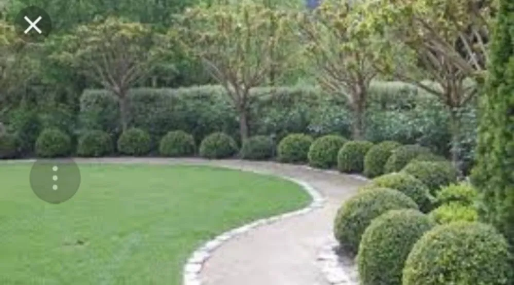 Affordable yard maintenance in Santa Ana, CA - Miguels Maintenace & Landscape Service