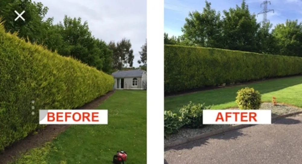 Affordable lawn care service for homes across Santa Ana, CA - Miguels Maintenace & Landscape Service