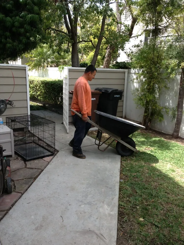 Professional yard cleanup service experts serving Santa Ana, CA - Miguels Maintenace & Landscape Service