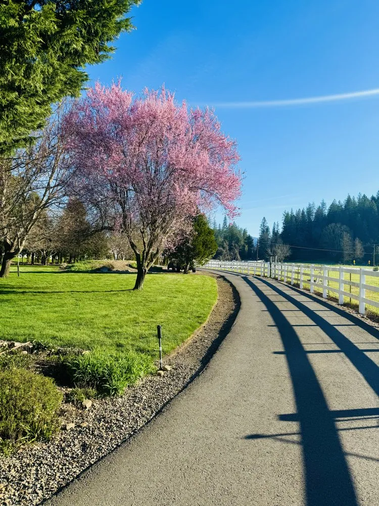 Expert yard maintenance near you across Medford, OR - Miguel's Maintenance