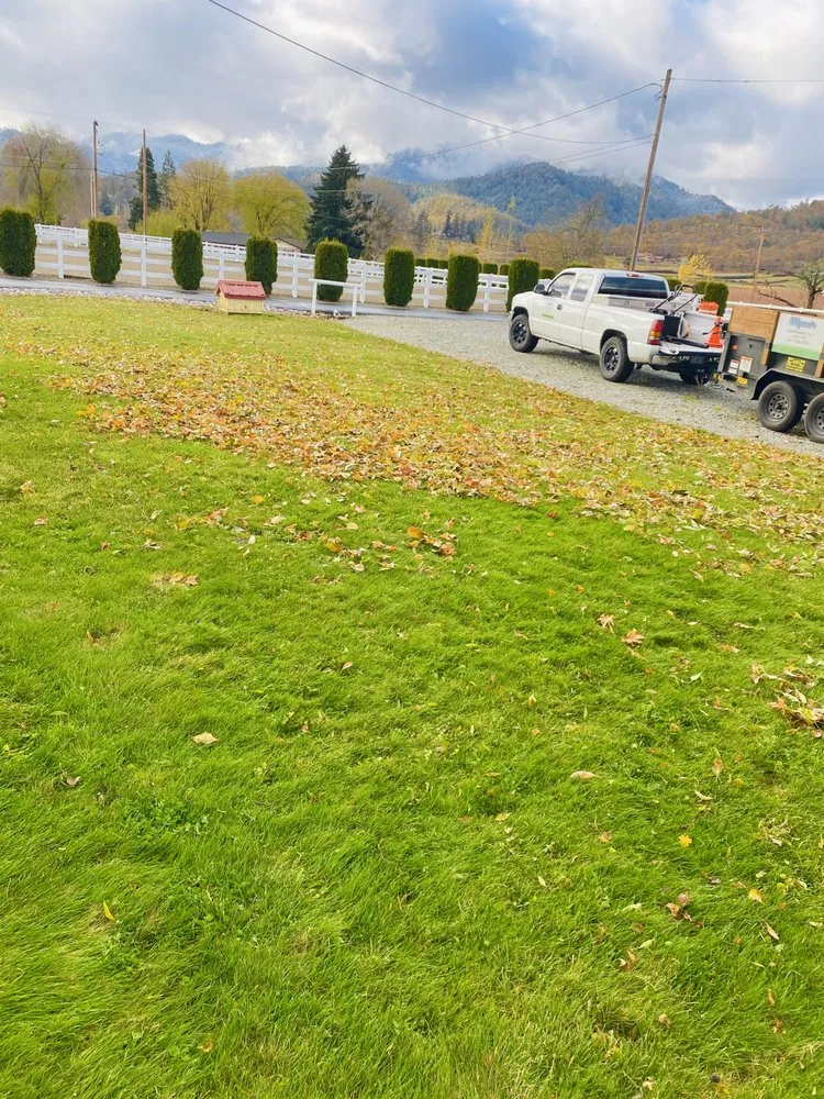 Trusted yard maintenance experts serving Medford, OR - Miguel's Maintenance