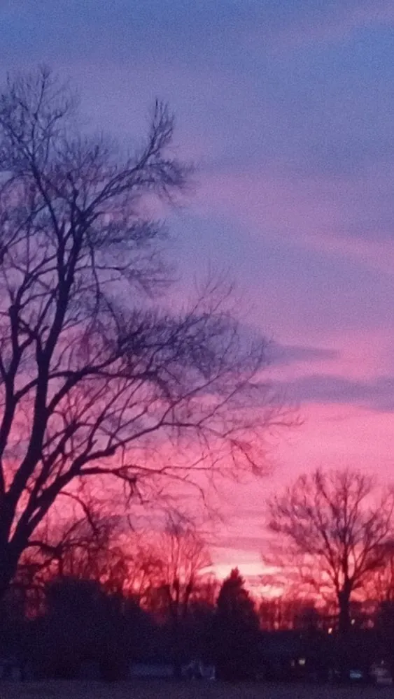 Reliable residential landscaping in Connersville, IN - Miguel's Mowing