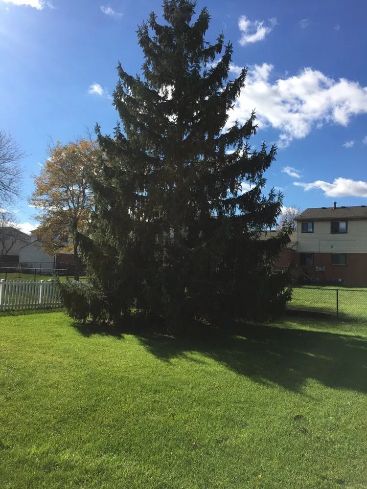 Trusted landscaping services with custom design in Canton, MI by Miguel's Outdoor Services