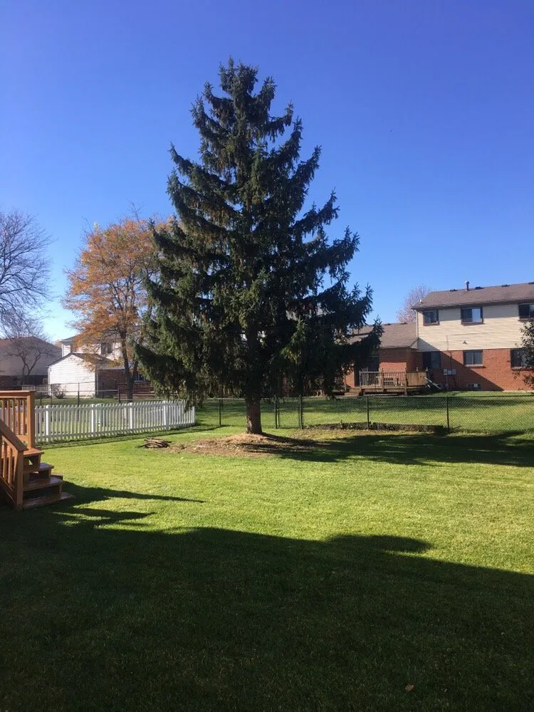 Expert lawn care service experts serving Canton, MI - Miguel's Outdoor Services