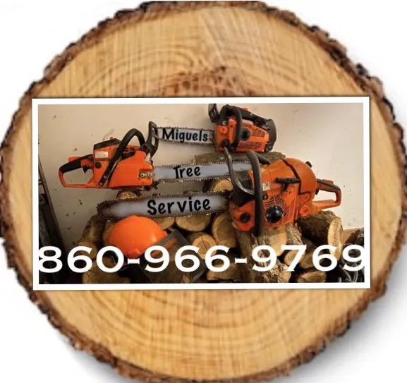Trusted landscaping services experts serving New Britain, CT - Miguels Tree & Landscaping