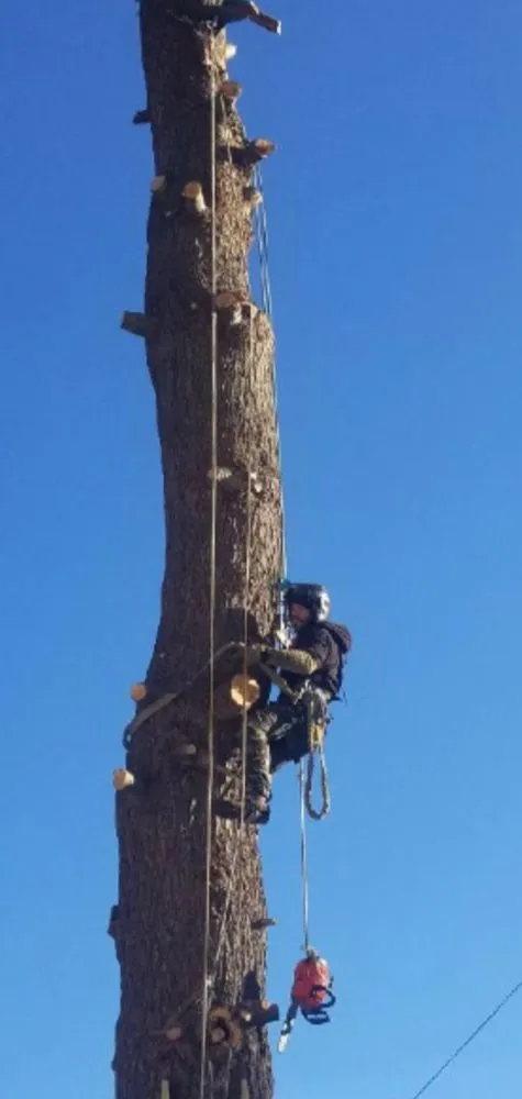 Reliable landscape design in New Britain, CT by Miguels Tree & Landscaping