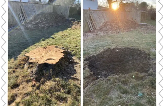 Top-rated lawn care service experts serving New Britain, CT - Miguels Tree & Landscaping