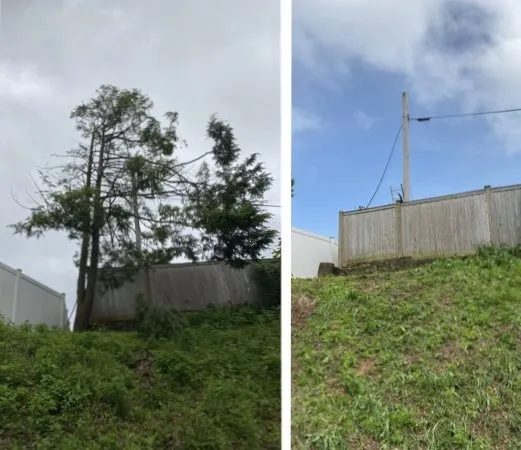 Reliable landscaping services near you in New Britain, CT by Miguels Tree & Landscaping