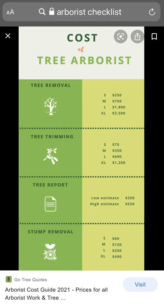 Local lawn care service near you across New Britain, CT - Miguels Tree & Landscaping