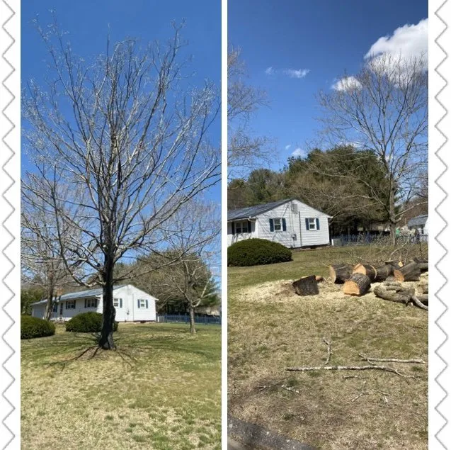 Custom landscaping services in New Britain, CT - Miguels Tree & Landscaping