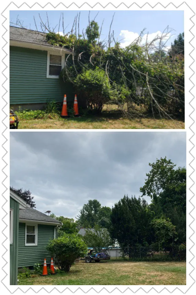 Top-rated lawn care service in New Britain, CT - Miguels Tree & Landscaping