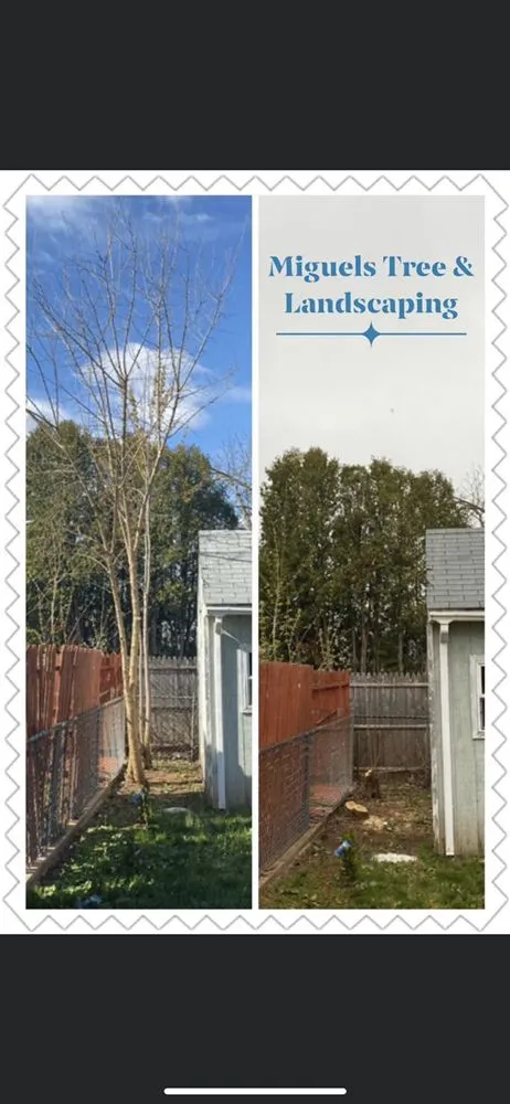 Expert outdoor landscaping in New Britain, CT by Miguels Tree & Landscaping