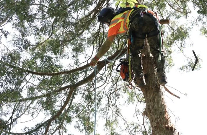 Reliable landscape installation near you across New Britain, CT - Miguels Tree & Landscaping