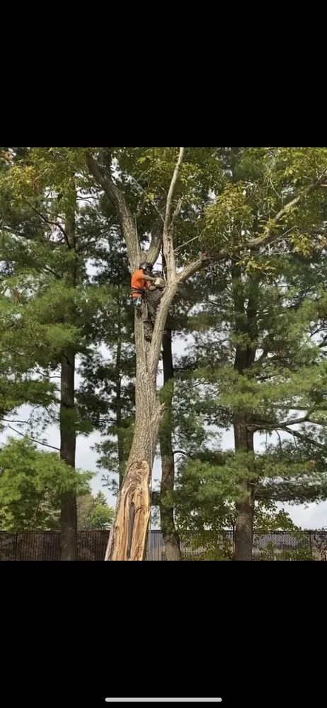 Affordable residential landscaping for residential properties across New Britain, CT - Miguels Tree & Landscaping