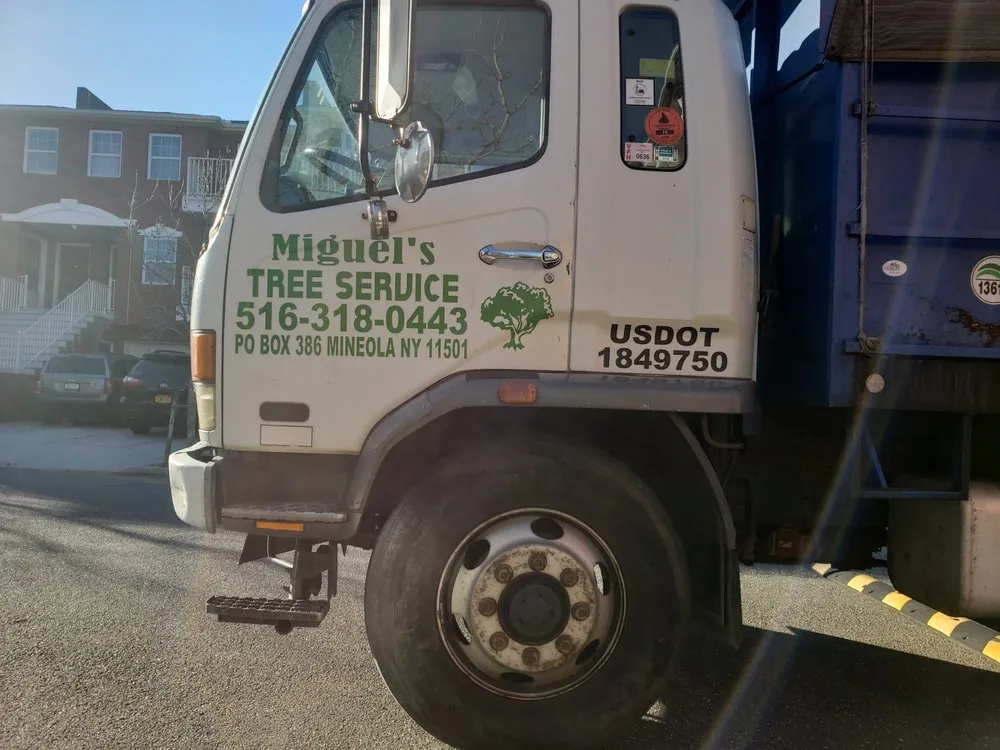 Affordable lawn care service in Queens, NY - Miguel's Tree Service