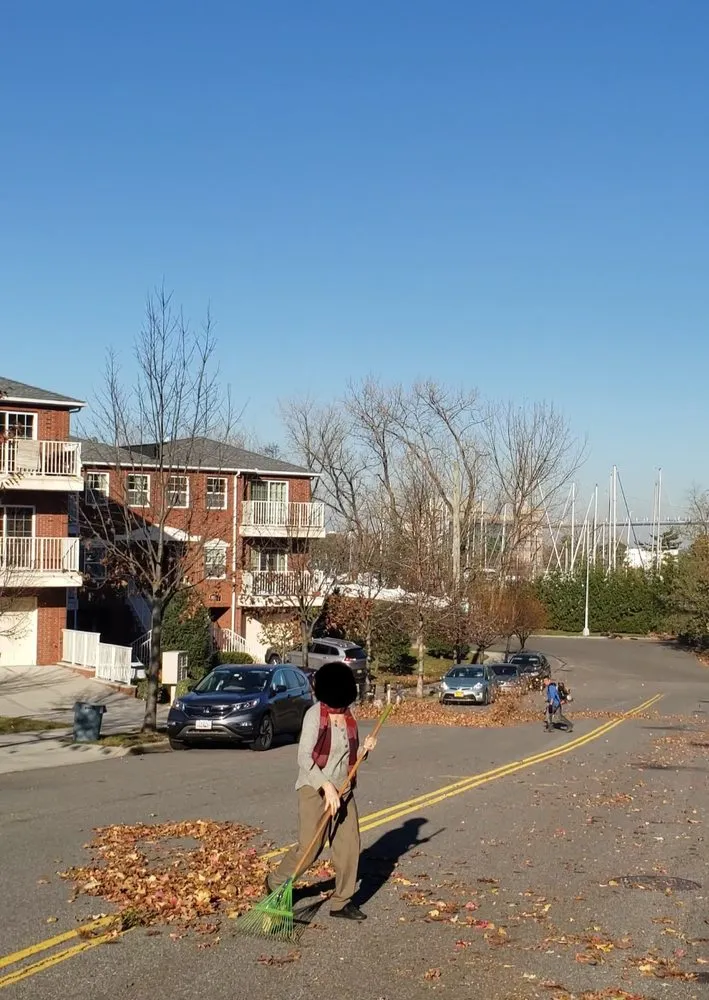 Professional landscaping services in Queens, NY - Miguel's Tree Service