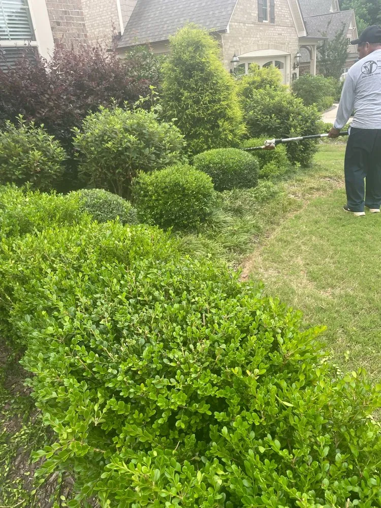 Top-rated landscape installation in Charlotte, NC - Miguel’s Yard Services