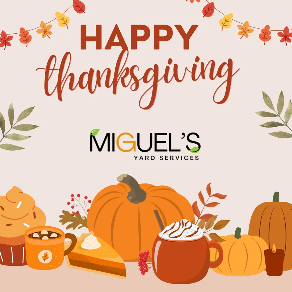 Local residential landscaping experts serving Charlotte, NC - Miguel’s Yard Services