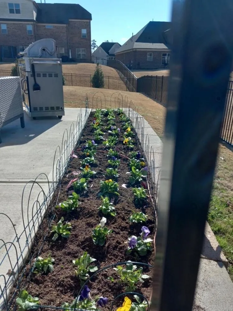 Professional outdoor landscaping for homes across Charlotte, NC - Miguel’s Yard Services