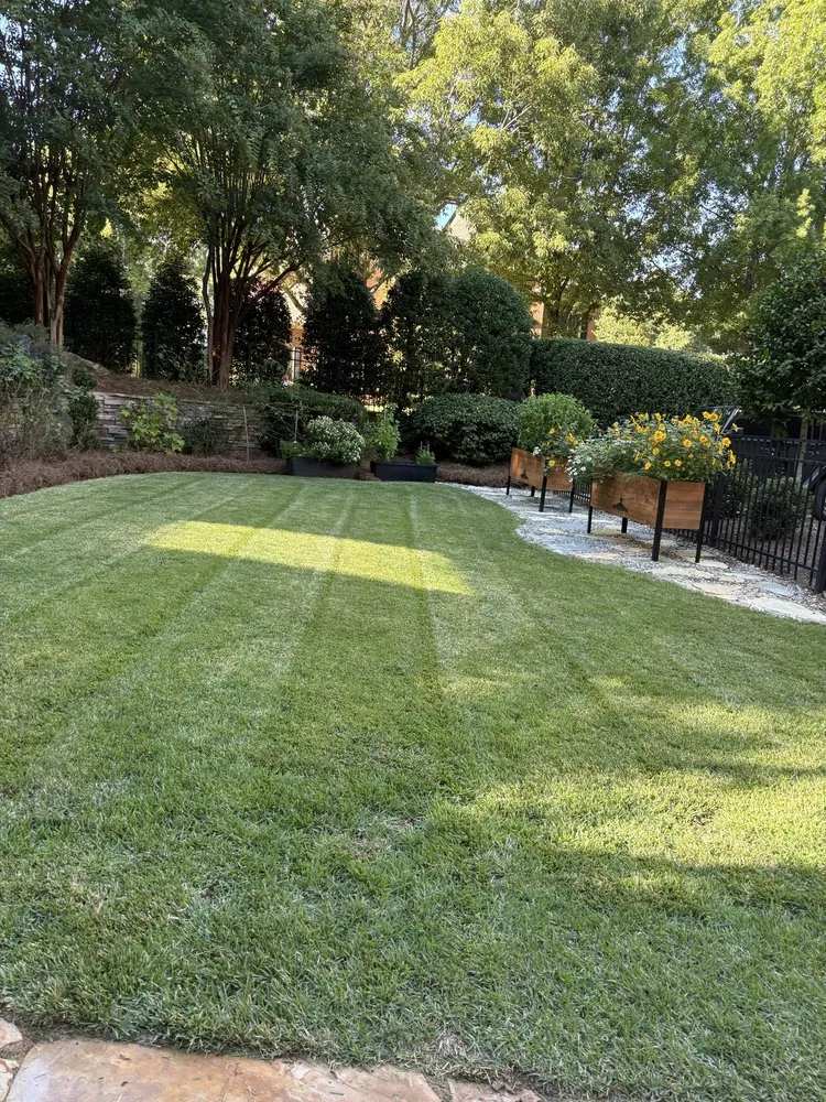 Local yard maintenance in Charlotte, NC - Miguel’s Yard Services