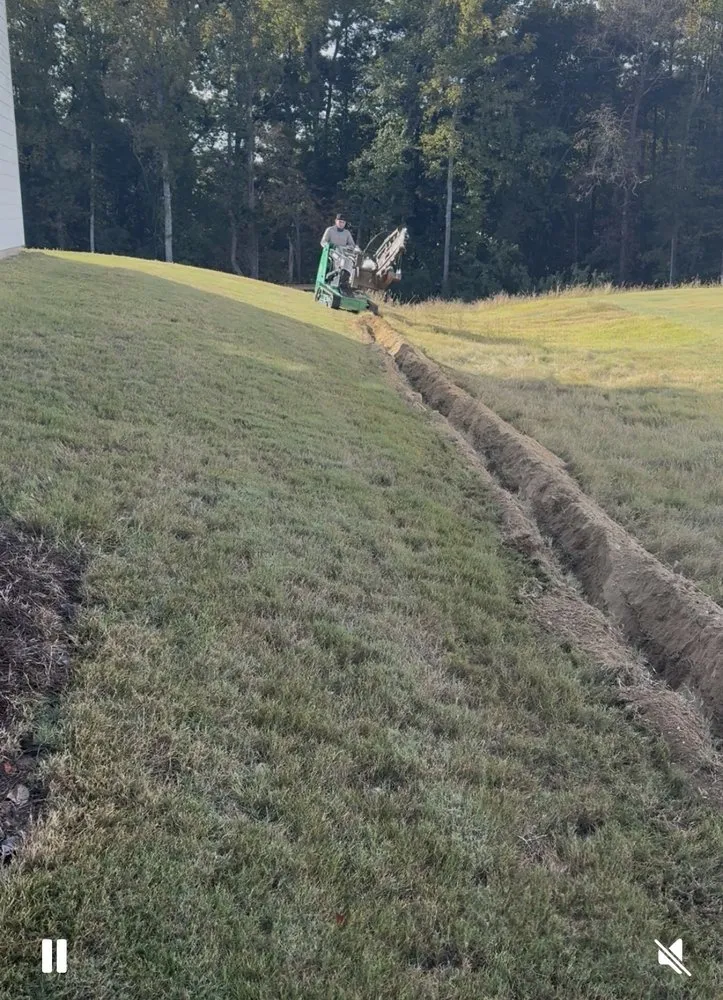 Professional yard maintenance in Charlotte, NC by Miguel’s Yard Services