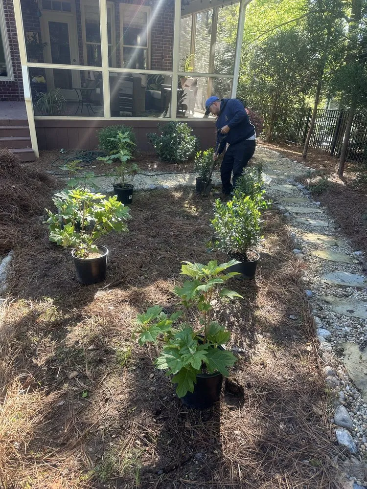 Trusted residential landscaping in Charlotte, NC by Miguel’s Yard Services