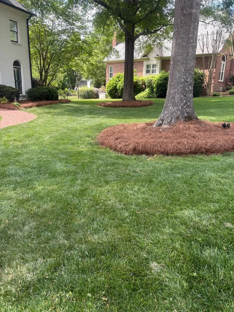 Local landscape design in Charlotte, NC by Miguel’s Yard Services