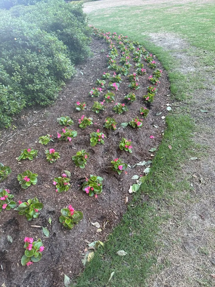 Custom yard maintenance in Charlotte, NC - Miguel’s Yard Services