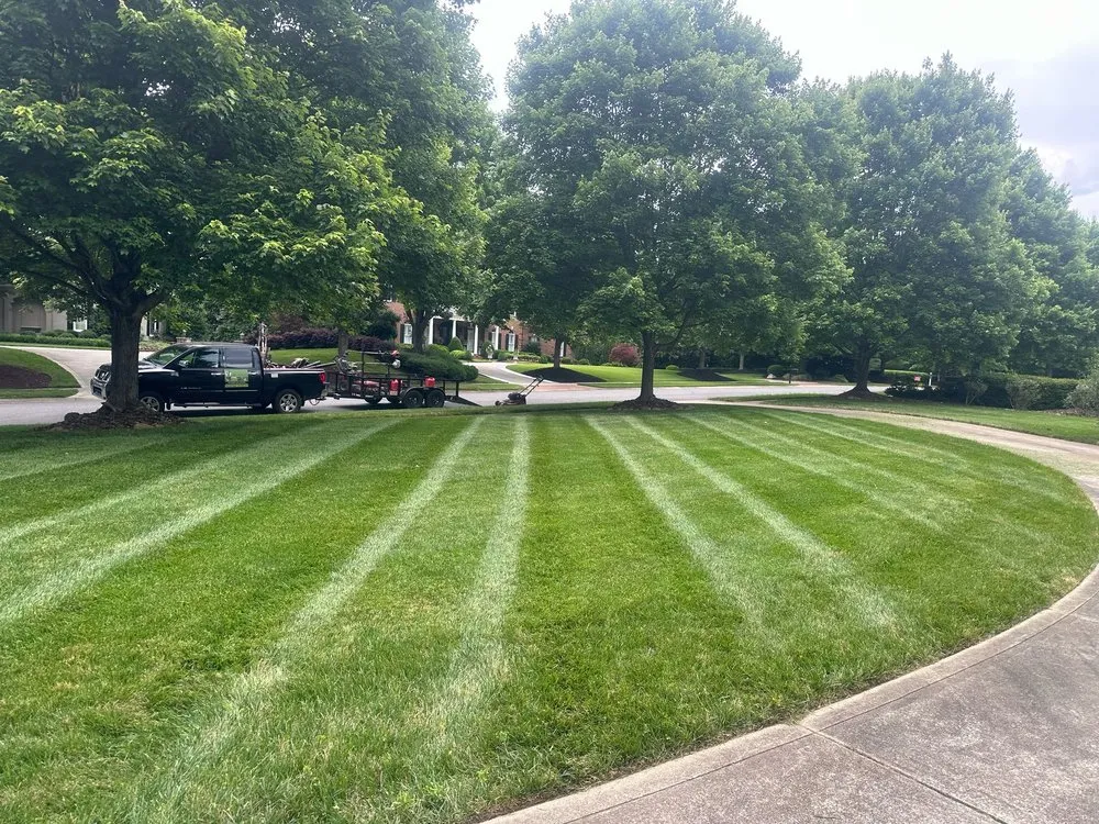 Expert yard cleanup service in Charlotte, NC - Miguel’s Yard Services