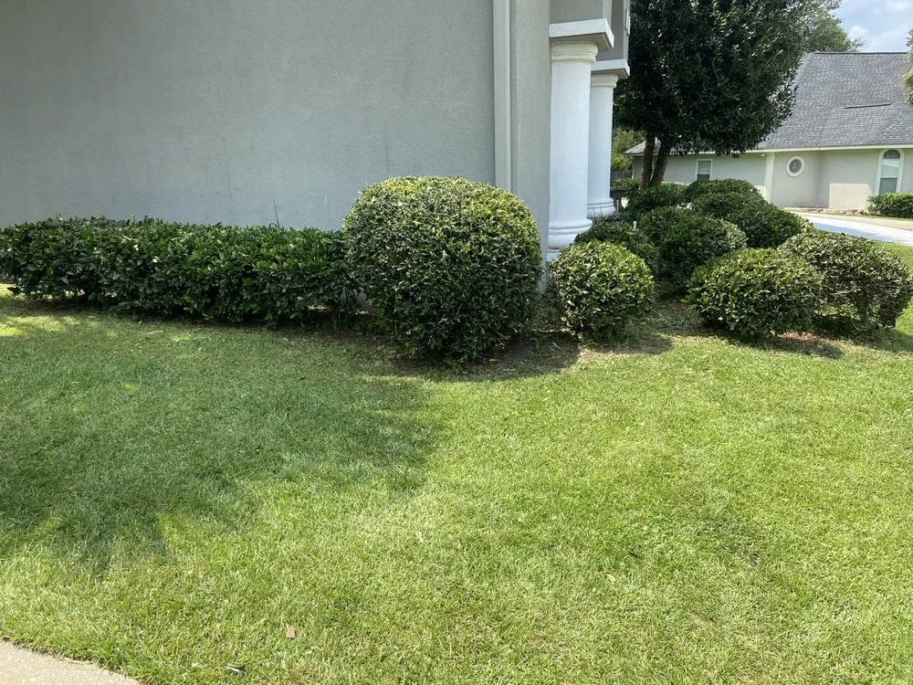 Reliable lawn mowing service for beautiful yards in Monticello, FL by Miguel's Zero Turn Lawn Service