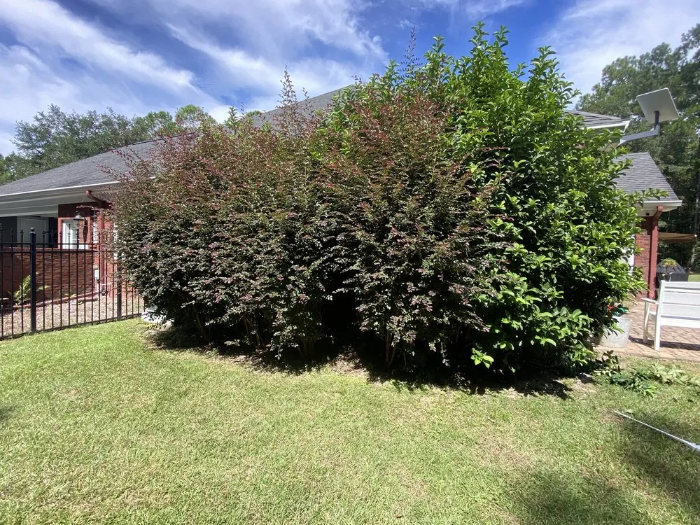 Trusted lawn mowing service in Monticello, FL - Miguel's Zero Turn Lawn Service