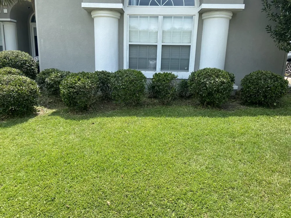 Custom landscape design with custom design across Monticello, FL - Miguel's Zero Turn Lawn Service