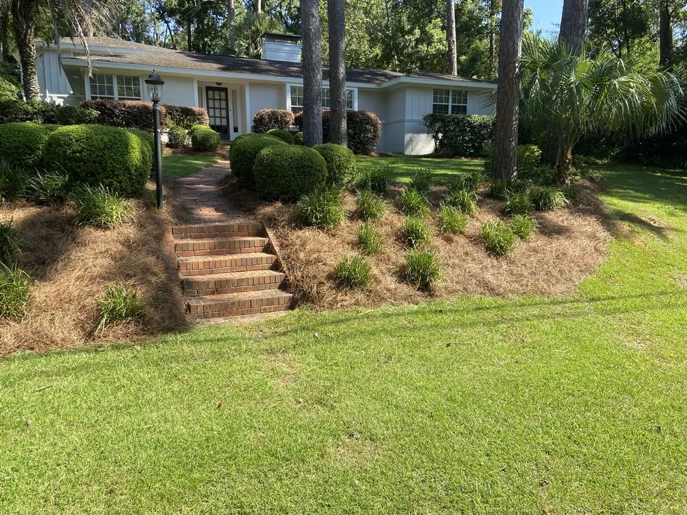 Trusted yard maintenance for year-round maintenance across Monticello, FL - Miguel's Zero Turn Lawn Service
