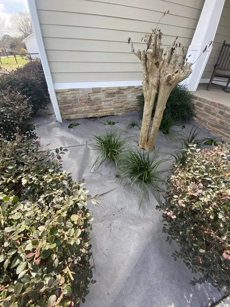 Trusted yard cleanup service experts serving Monticello, FL - Miguel's Zero Turn Lawn Service