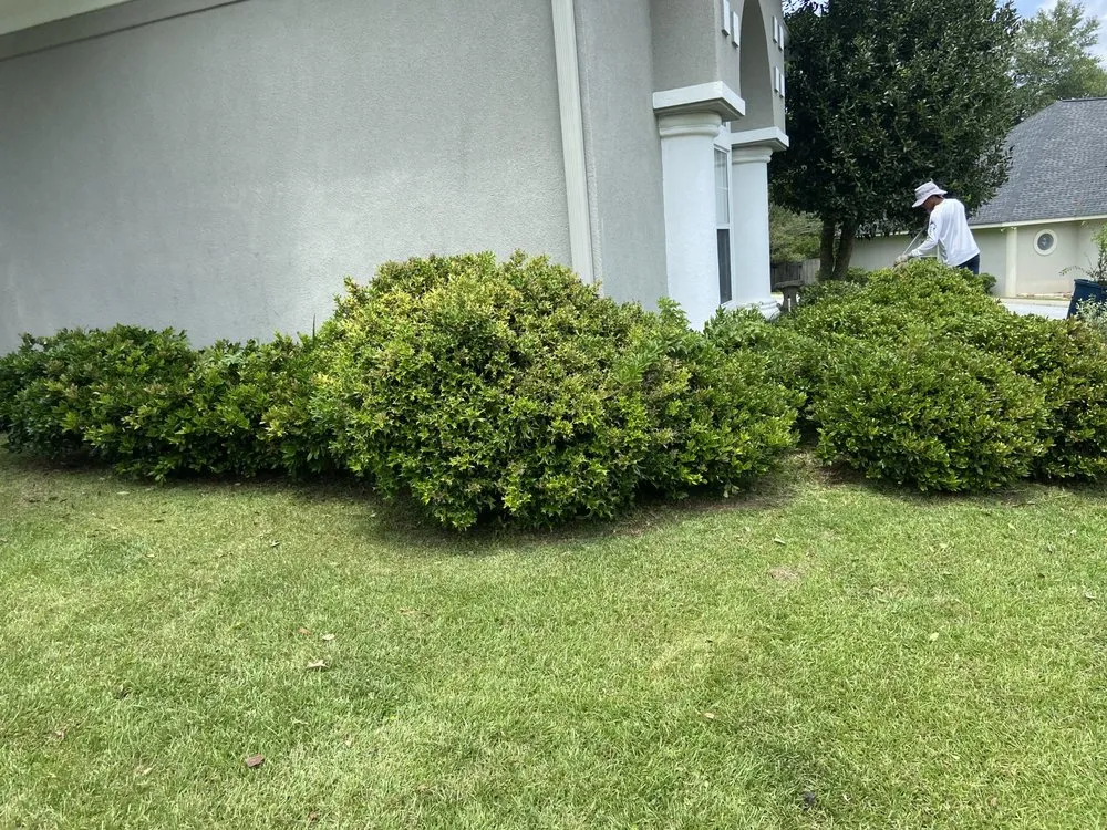 Local outdoor landscaping in Monticello, FL by Miguel's Zero Turn Lawn Service