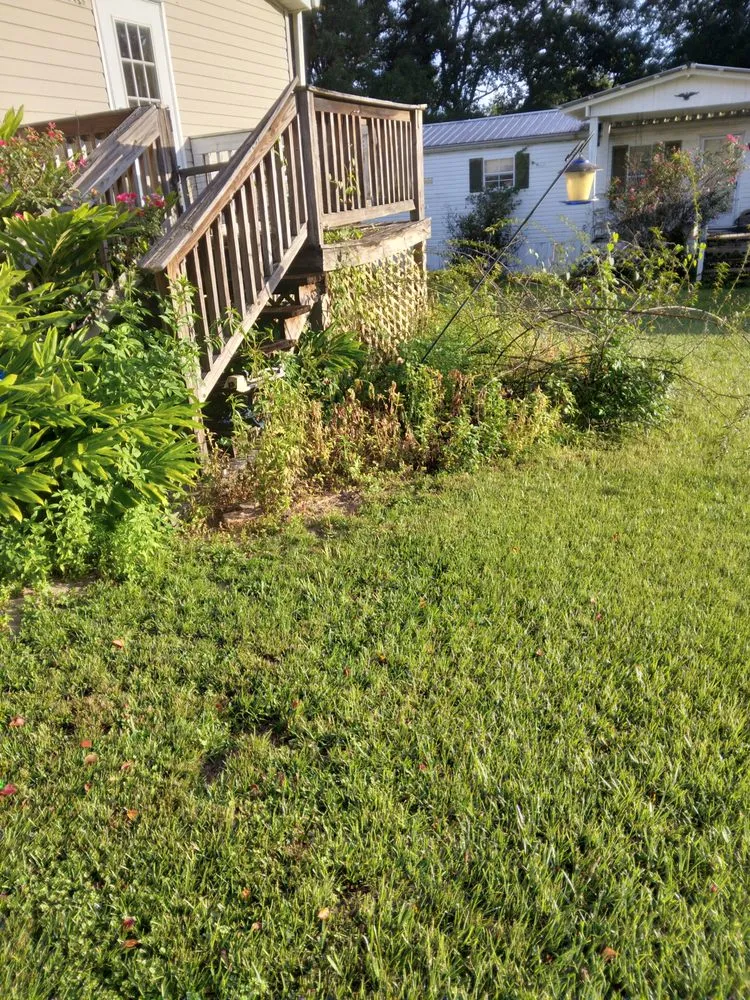 Affordable landscape design experts serving Monticello, FL - Miguel's Zero Turn Lawn Service