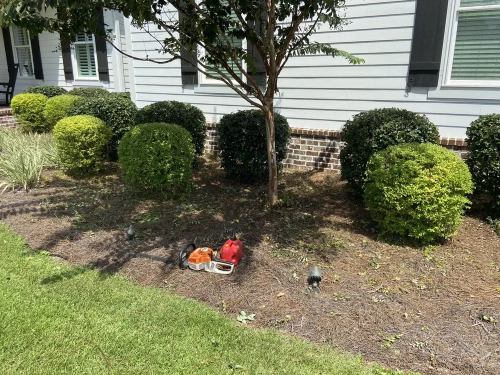 Local lawn mowing service in Monticello, FL - Miguel's Zero Turn Lawn Service