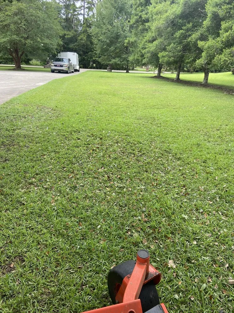 Expert yard maintenance for homes across Monticello, FL - Miguel's Zero Turn Lawn Service