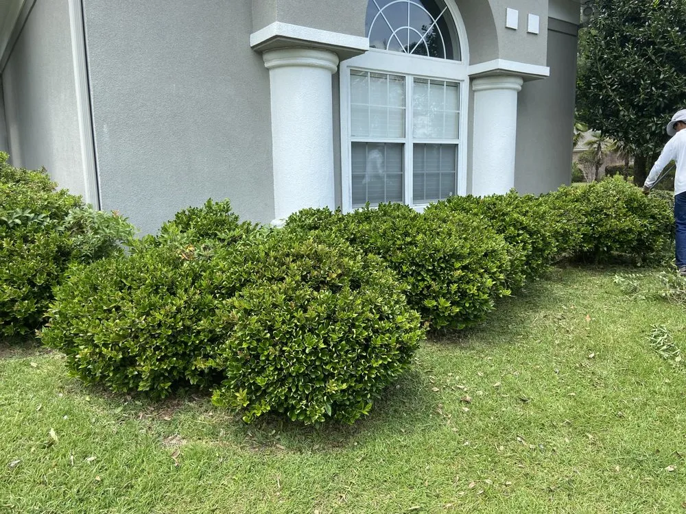 Expert residential landscaping with custom design across Monticello, FL - Miguel's Zero Turn Lawn Service