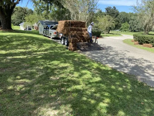 Miguel's Zero Turn Lawn Service Logo