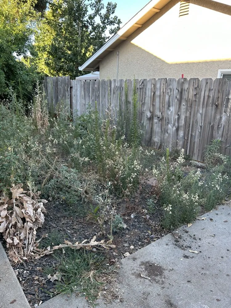 Reliable garden landscaping experts serving Chico, CA - Migules Yard Work