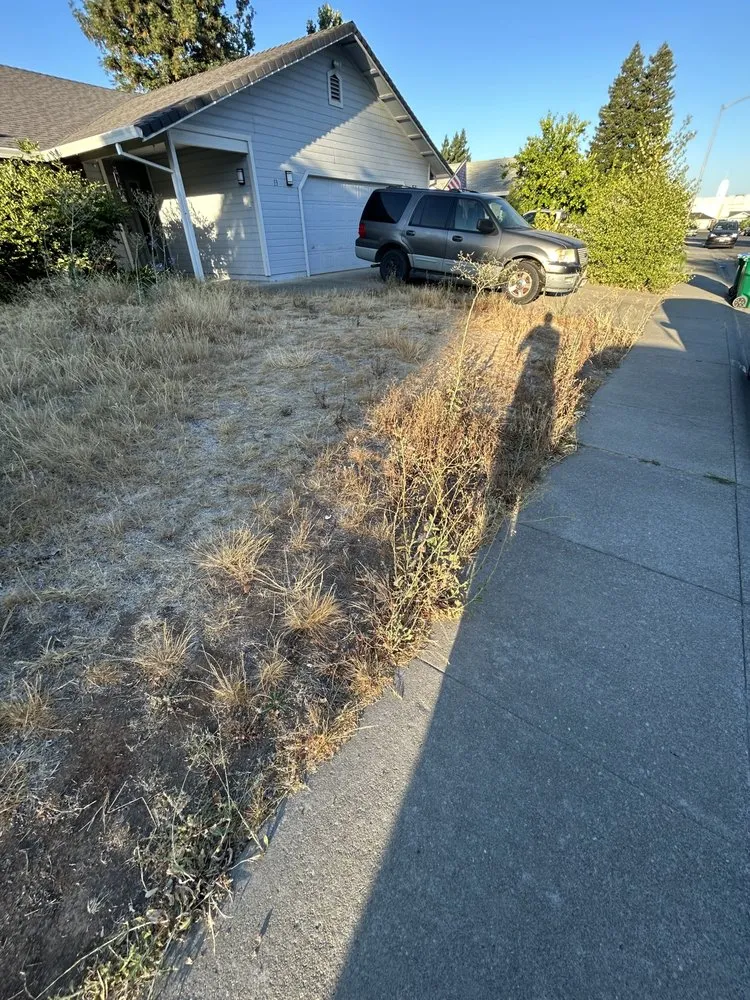 Professional landscaping services for outdoor upgrades in Chico, CA by Migules Yard Work