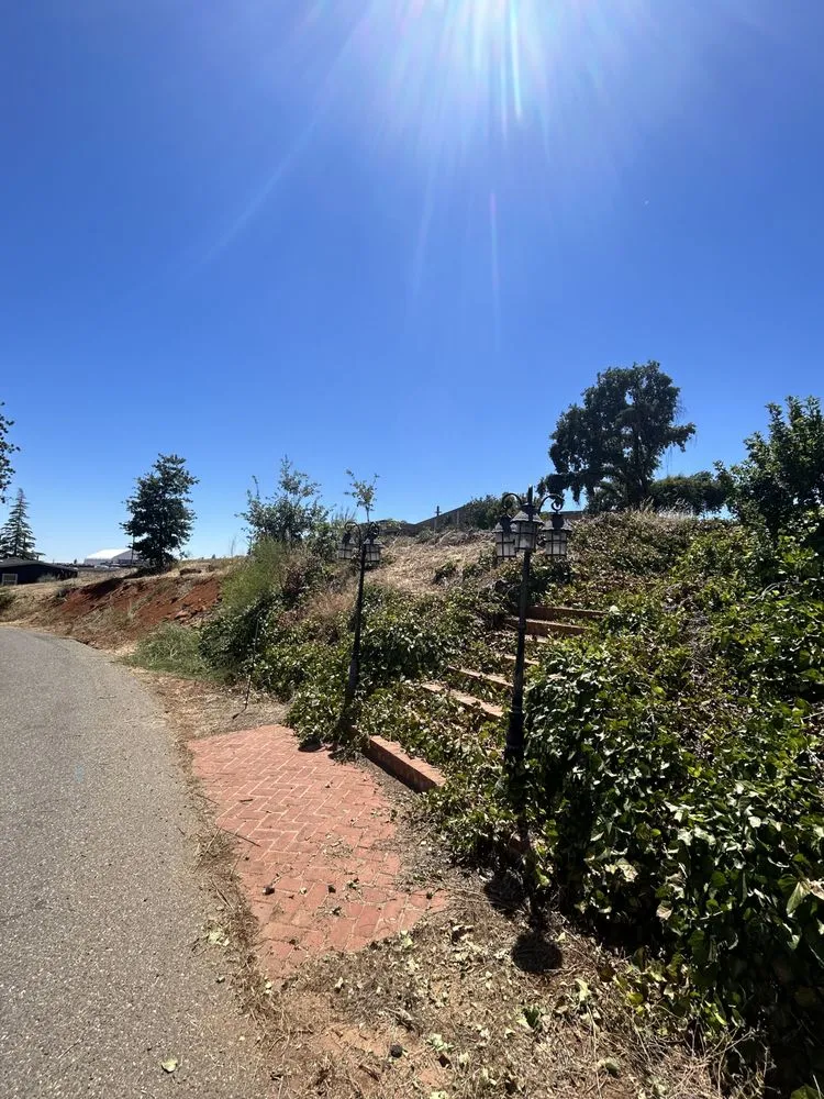 Top-rated yard maintenance experts serving Chico, CA - Migules Yard Work