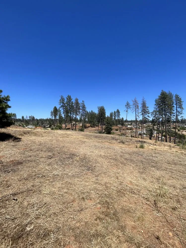 Expert yard cleanup service near you in Chico, CA by Migules Yard Work