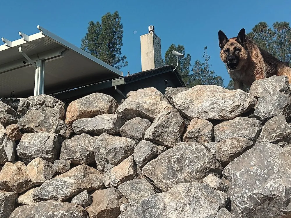 Expert garden landscaping for residential properties across Redding, CA - Mijangos Professional Landscape Services