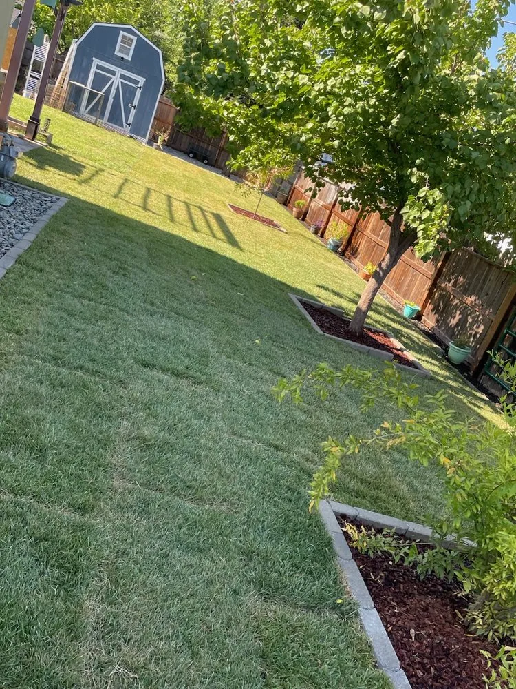 Professional landscaping services in Redding, CA by Mijangos Professional Landscape Services